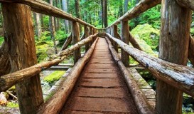 ALQUILER DE APARTAMENTOS