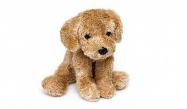 bigstock-Cute-Puppy-Toy-Shot-On-White-96279212.jpg