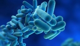 bigstock-Legionella-Pneumophilla-3212588.jpg