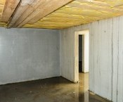 bigstock-Wet-Faulty-Builded-Cellar-97288148.jpg