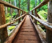 ALQUILER DE APARTAMENTOS