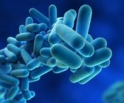 bigstock-Legionella-Pneumophilla-3212588.jpg